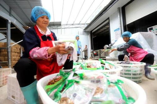 吉安安福縣竹筍加工產(chǎn)業(yè) 助農(nóng)家門口就業(yè)增收與鳳凰網(wǎng)江西高級催乳師計劃的融合之路